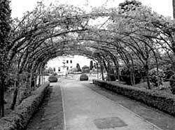Brodsworth gardens.