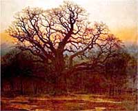 The Major Oak 1882 Andrew McCallum. 