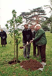 Tree planting at Flintham Hall.